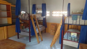 d0endtmwjj1wawuh8vqu