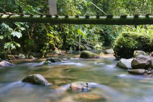 Filandia, Colombia Hostel